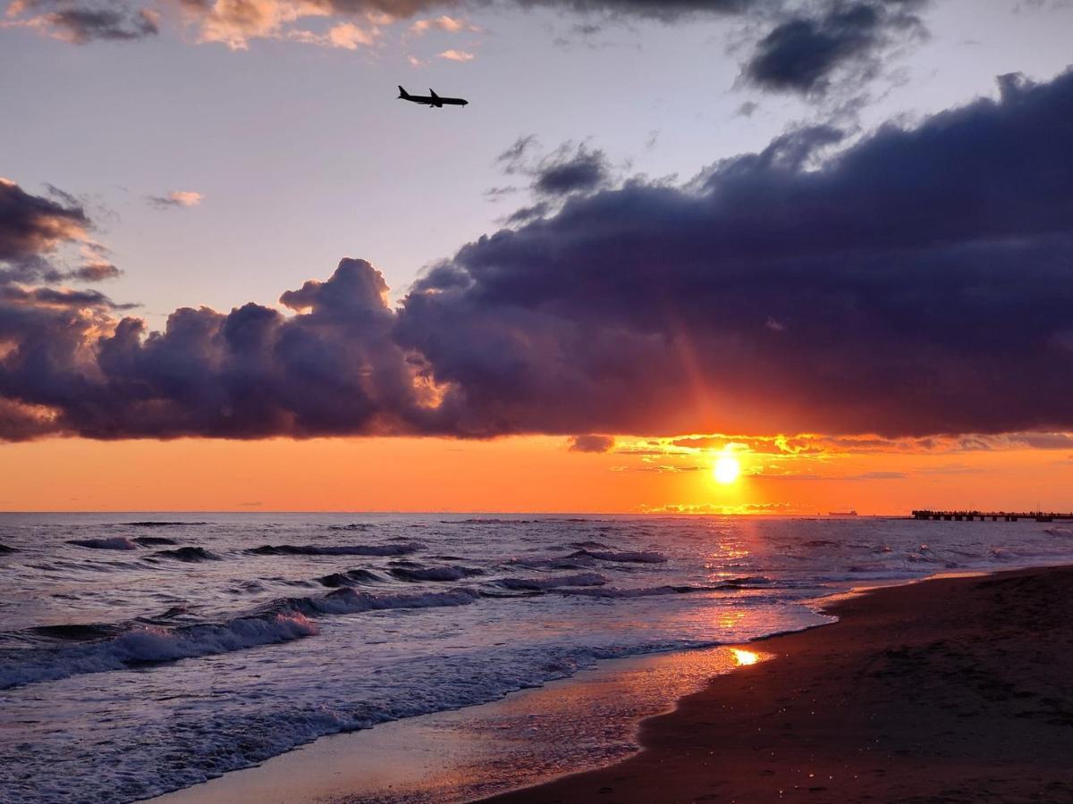 Piuma Celeste A Due Passi Dal Mare E Dal Centro Storico Lido di Ostia Eksteriør billede