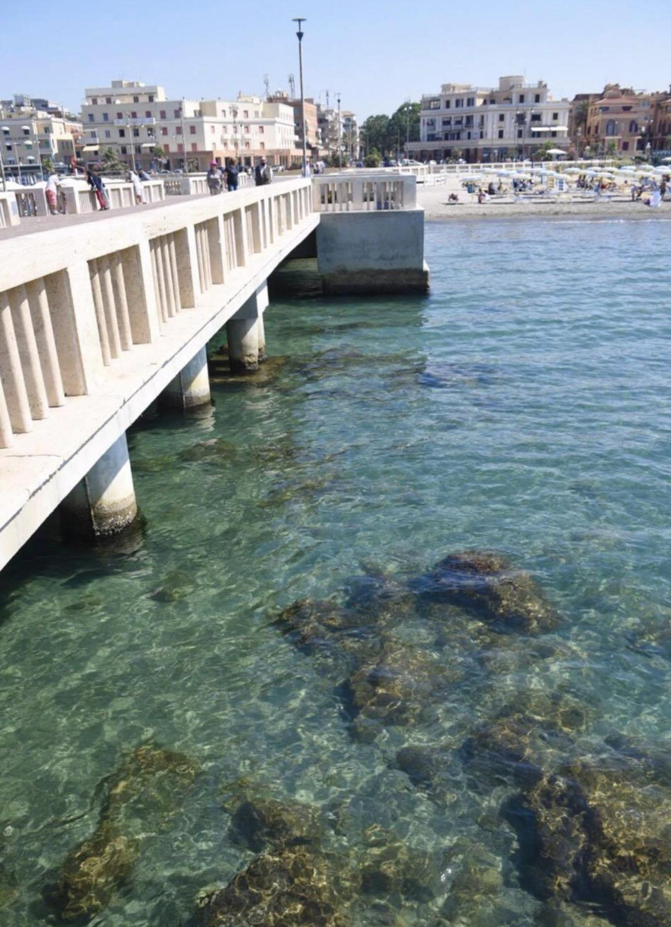 Piuma Celeste A Due Passi Dal Mare E Dal Centro Storico Lido di Ostia Eksteriør billede